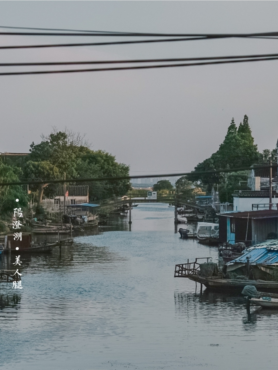 骑行阳澄湖美人腿半岛 #苏州历史地理人文美食#09:阳澄湖美人腿半岛
