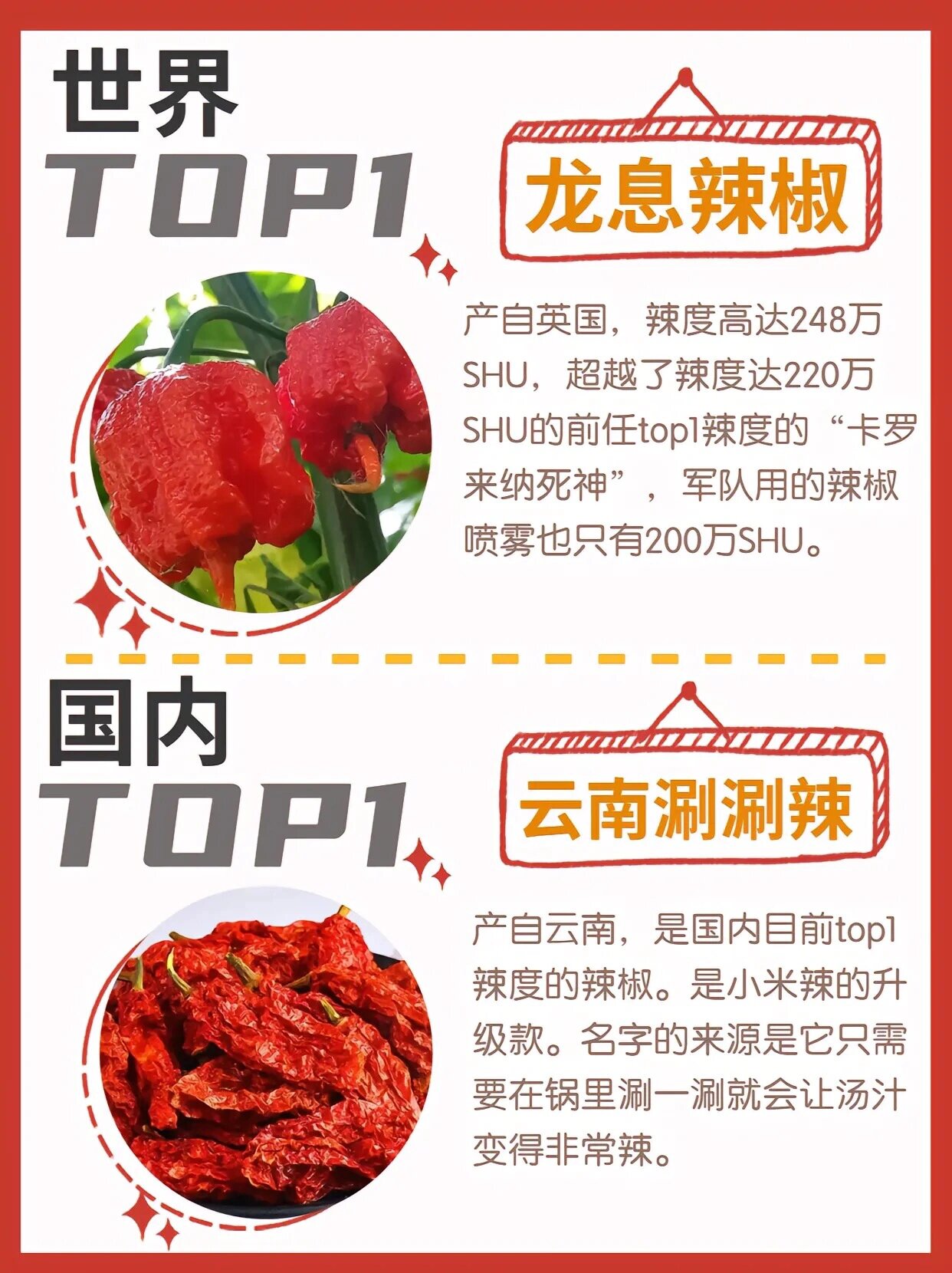 9215辣椒辣度排行榜97榜一直接辣到没知觉6015 龙息辣椒