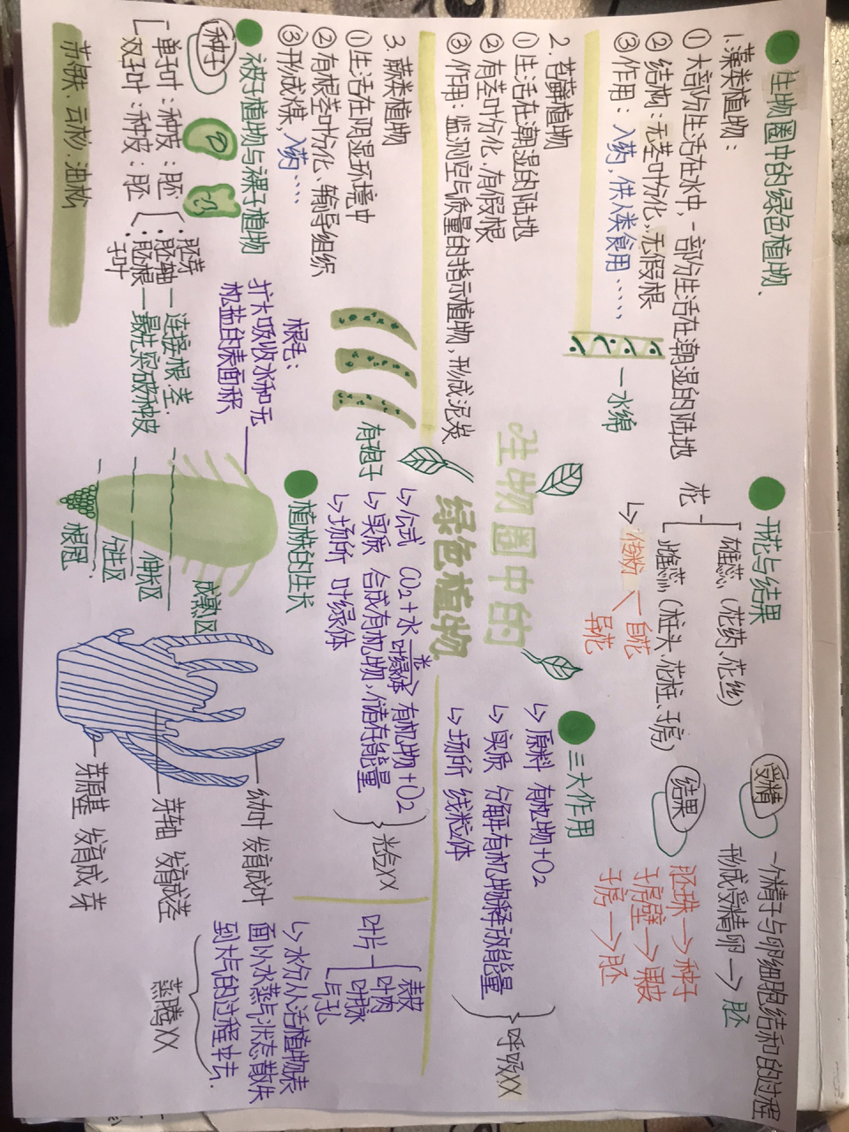 初一上册生物[生物圈中的绿色植物]笔记思维 初一上册生物[生物圈中的
