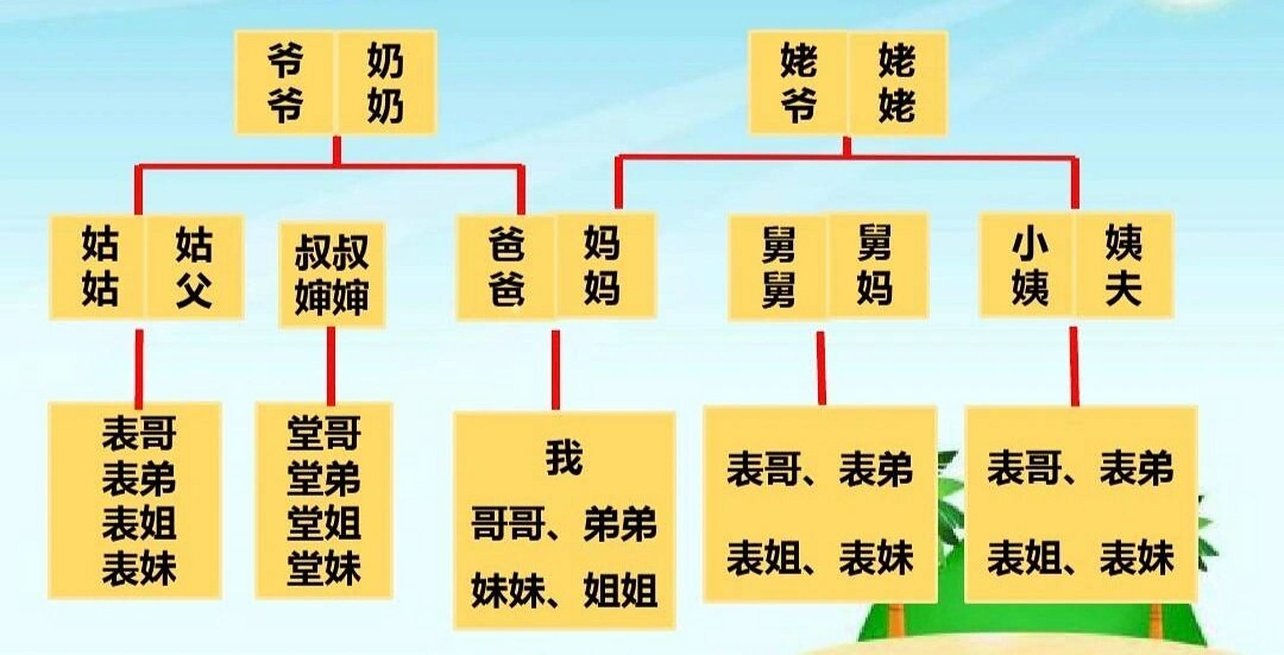 我们这边叔叔伯伯的小孩就叫堂:堂哥堂姐堂弟堂妹,其