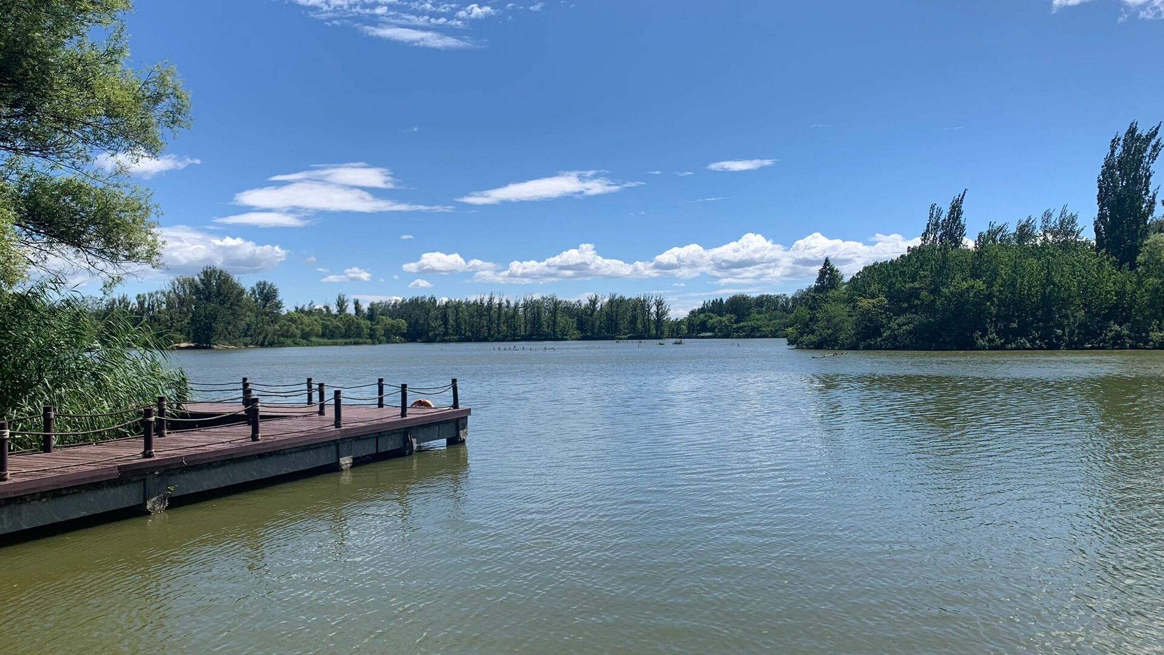 翠湖湿地公园游玩攻略  1.