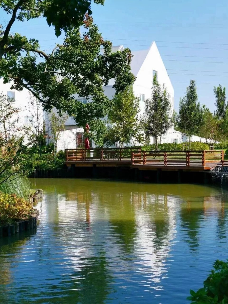 嘉兴平湖 | 千亩私家庄园野趣潮玩 99郁园乡野度假村 99嘉兴市