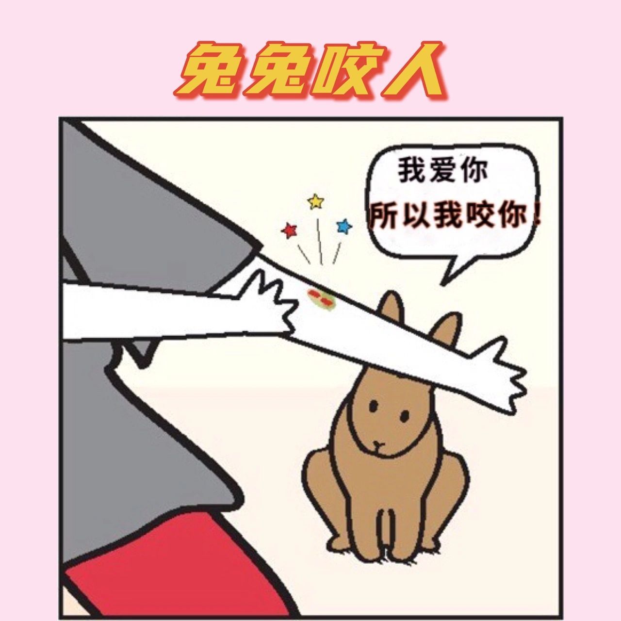 兔兔咬人?为什么?怎么办!