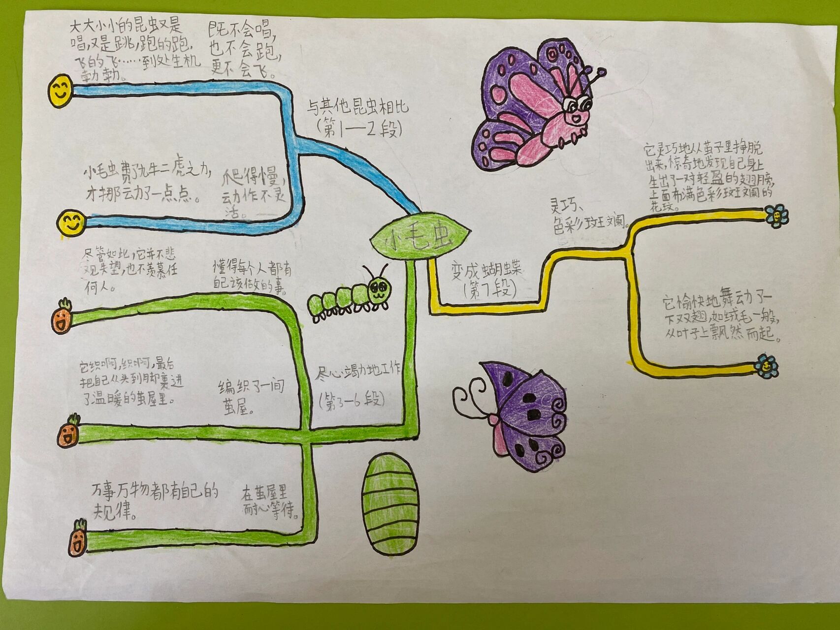 小毛虫超简单思维导图图片