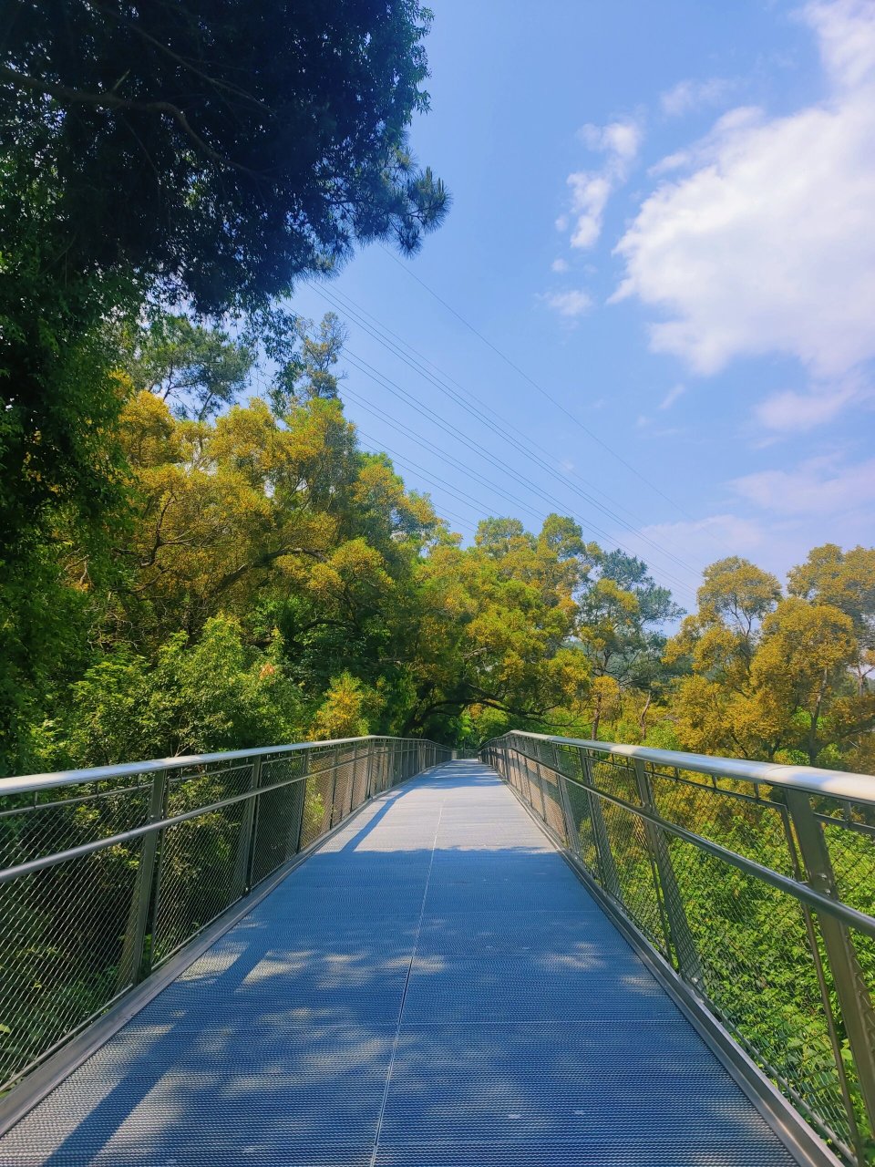仙岳山健康步道
