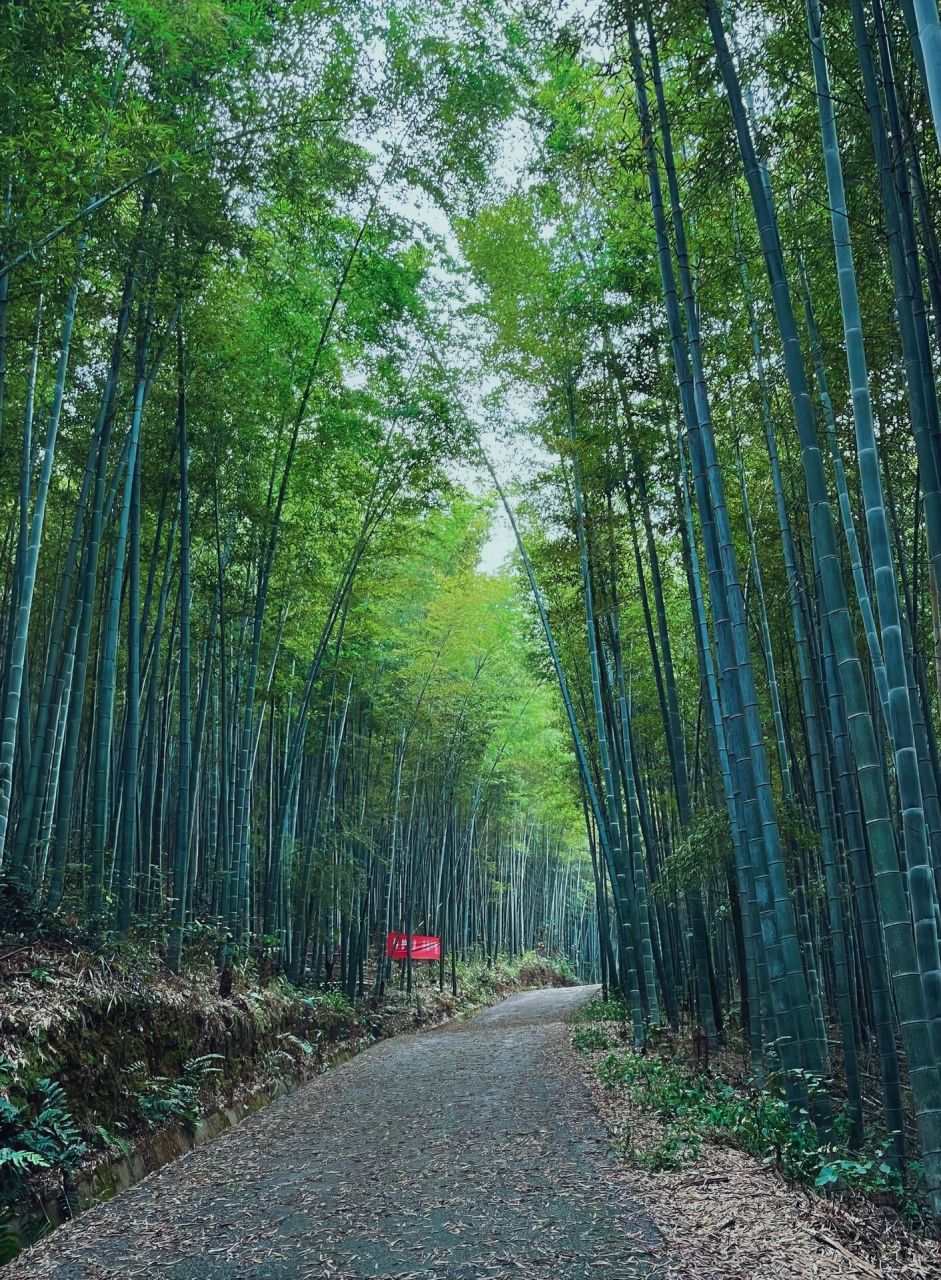 长沙乌山森林公园攻略图片