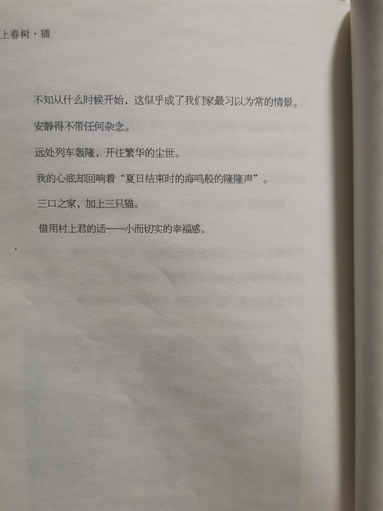 92关于猫的故事|《村上春树61猫》