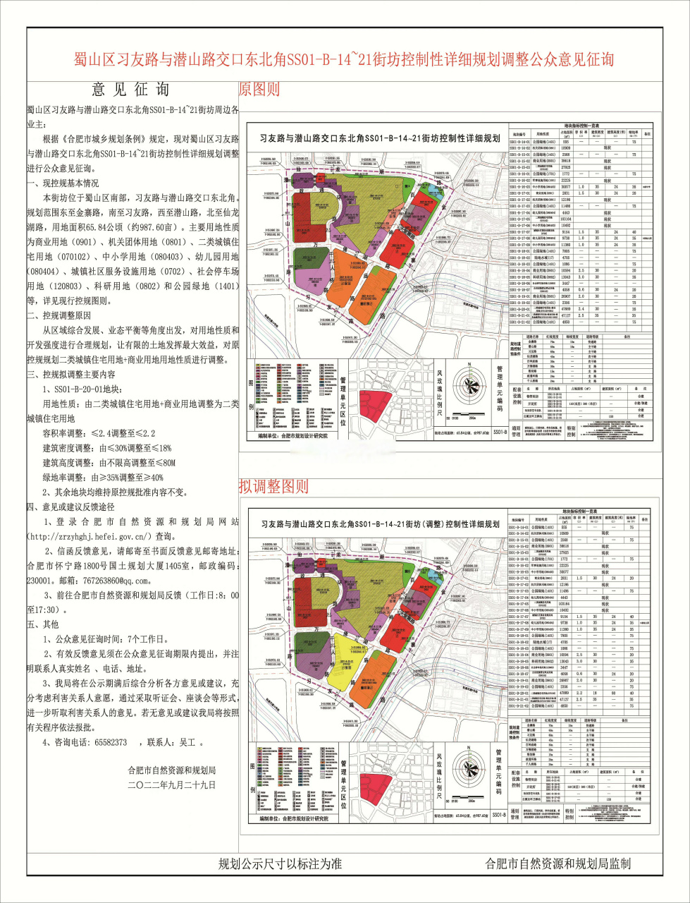 合肥政务区规划图图片