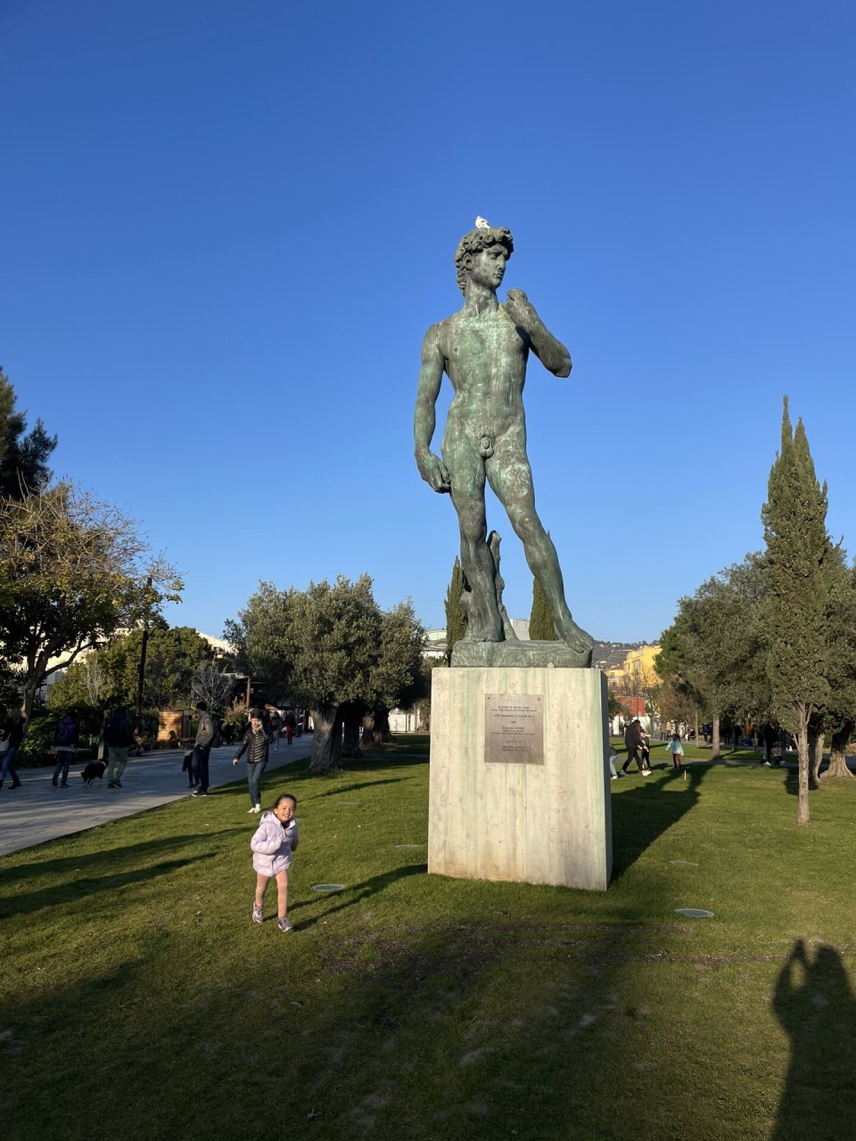 大卫雕像 中央公园内的大卫雕像95