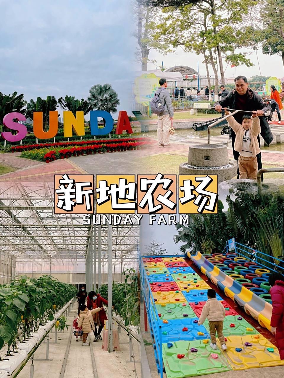 广州周边亲子游|喂牛羊摘水果蔬菜新地农场 亲子周末寒假过年06正愁