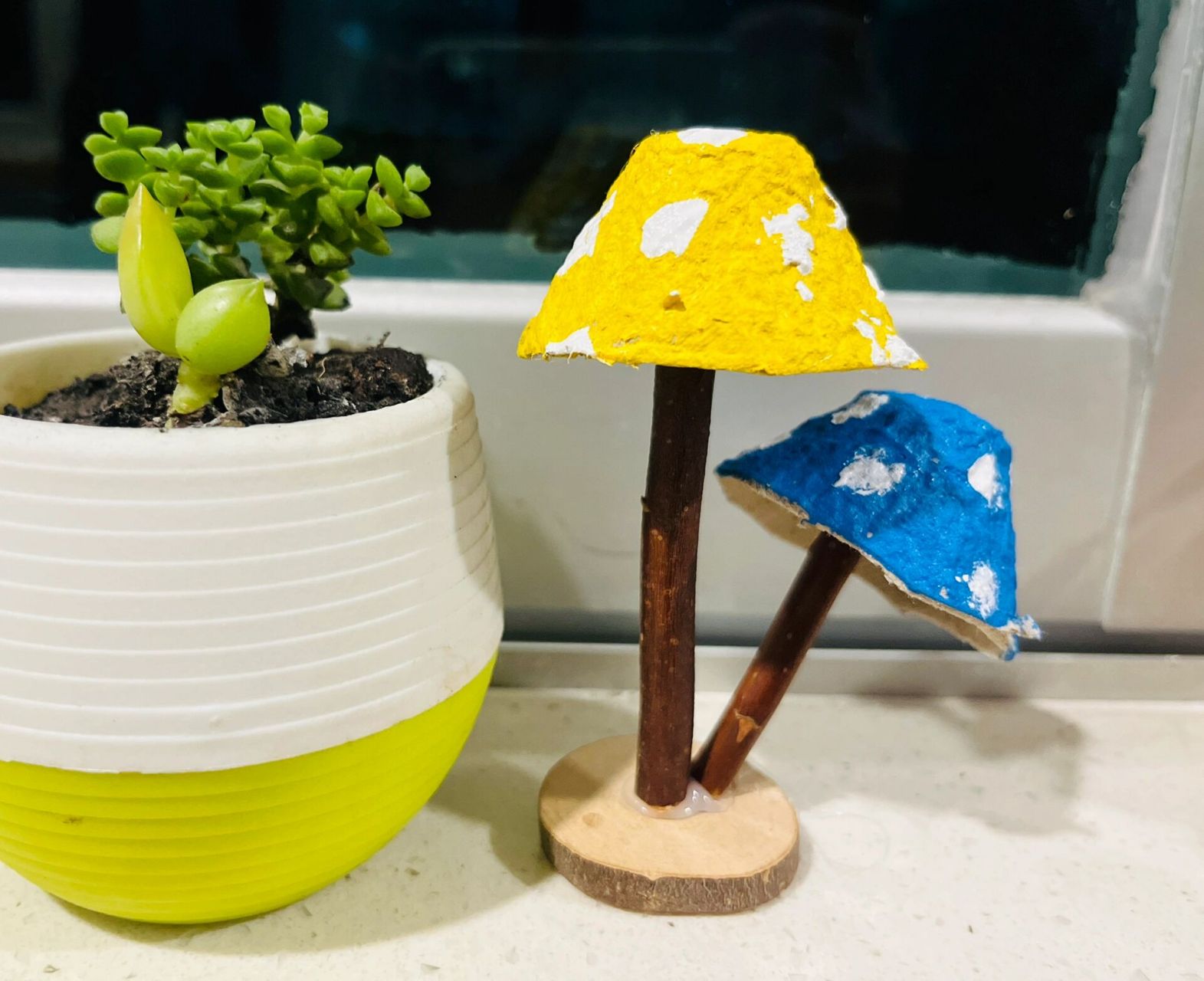 变废为宝艺术手作～鸡蛋托秒变小蘑菇96  	     一家自然教育园