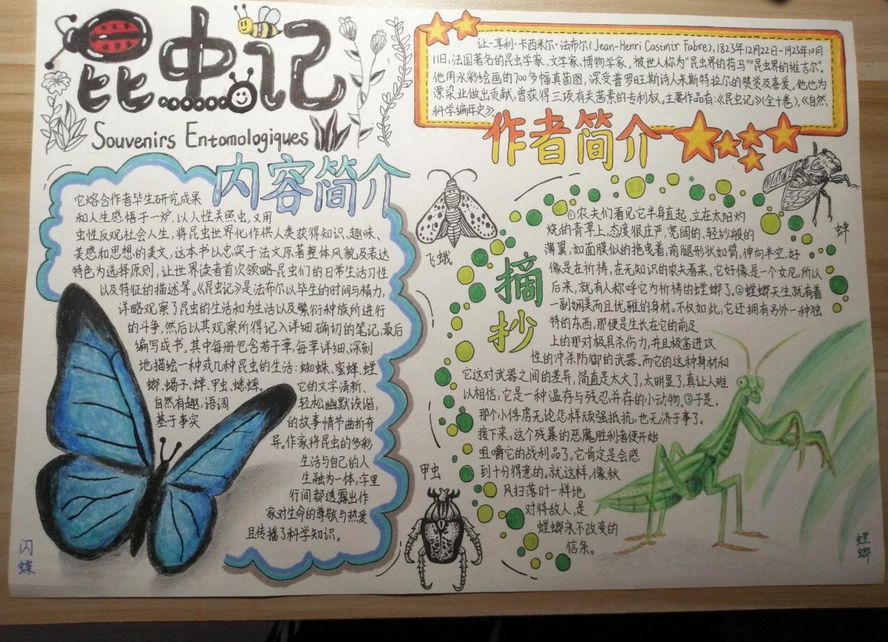 昆虫记手抄报03   第一次发 想要这份手抄报更完善一些  希望大家