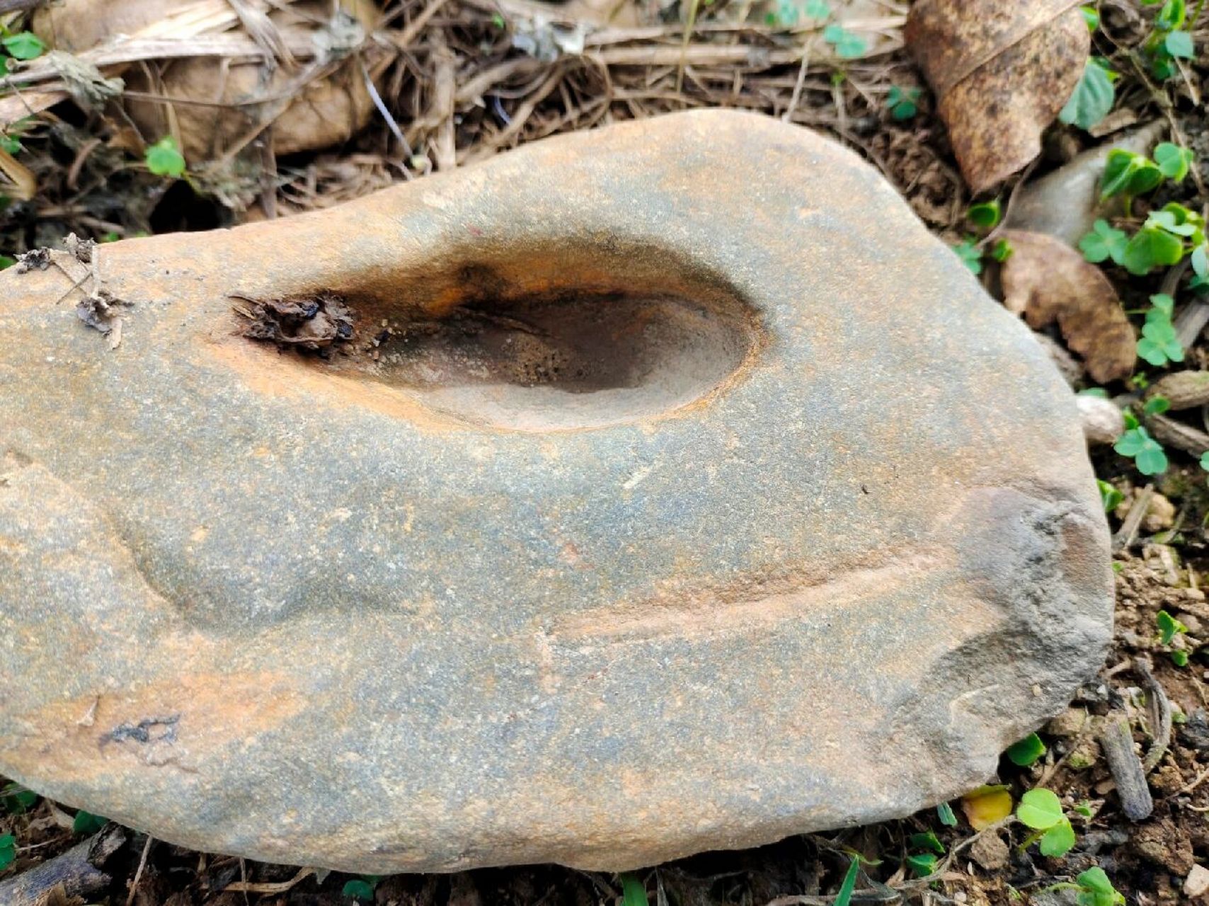 现实版的水滴石穿 在山上的一块石头,被水滴成了一个大骷颅,不知道要