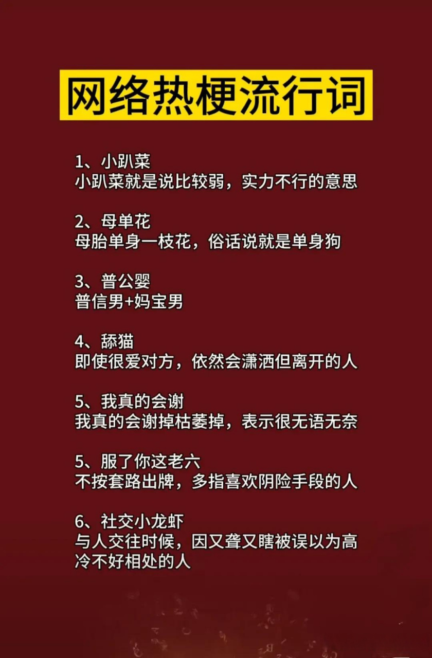 网络梗大全及解释图片