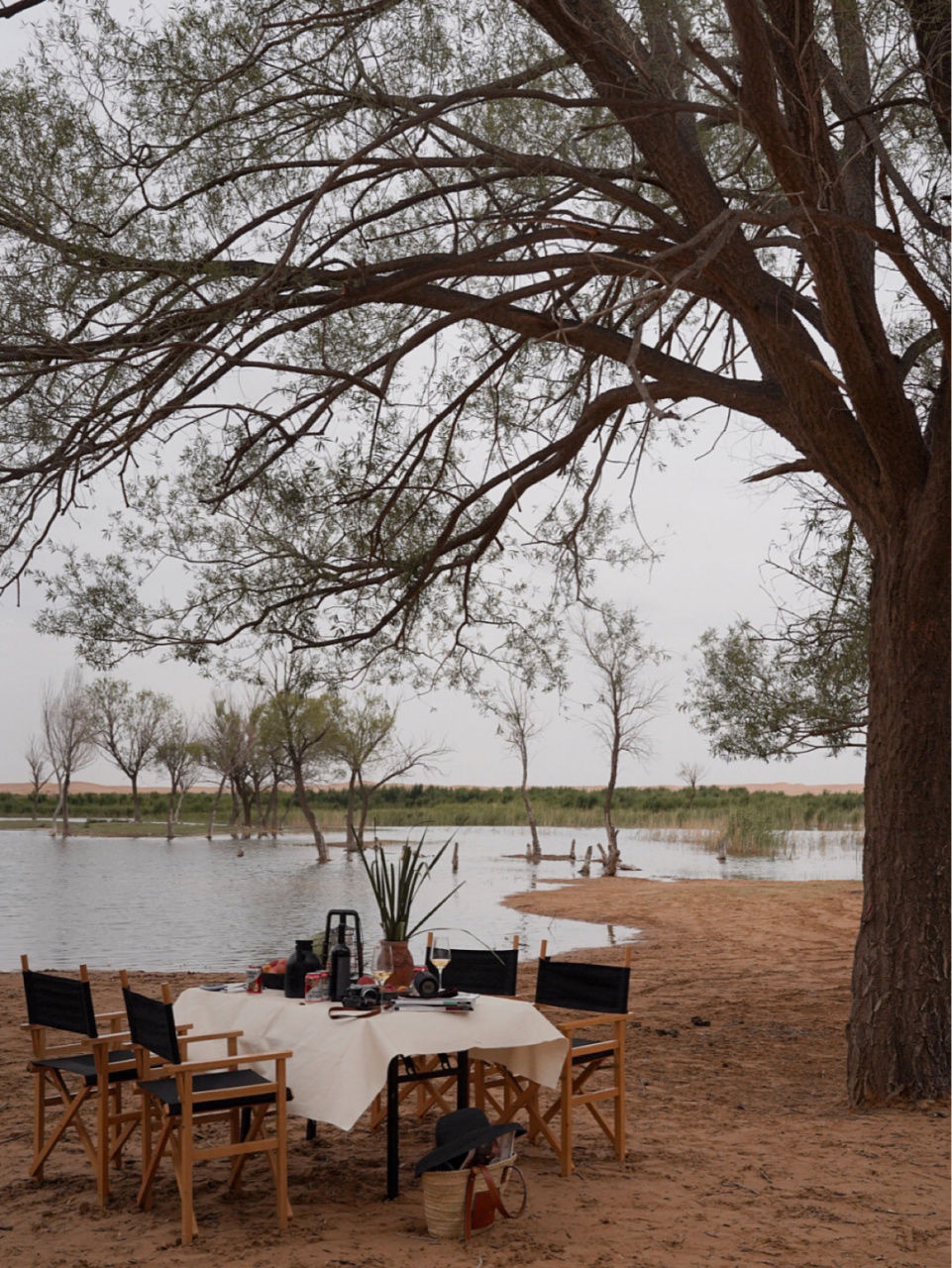 61 头井湖下午茶 61 沙漠绿洲纵想 61 穿越沙漠收获一片古老的