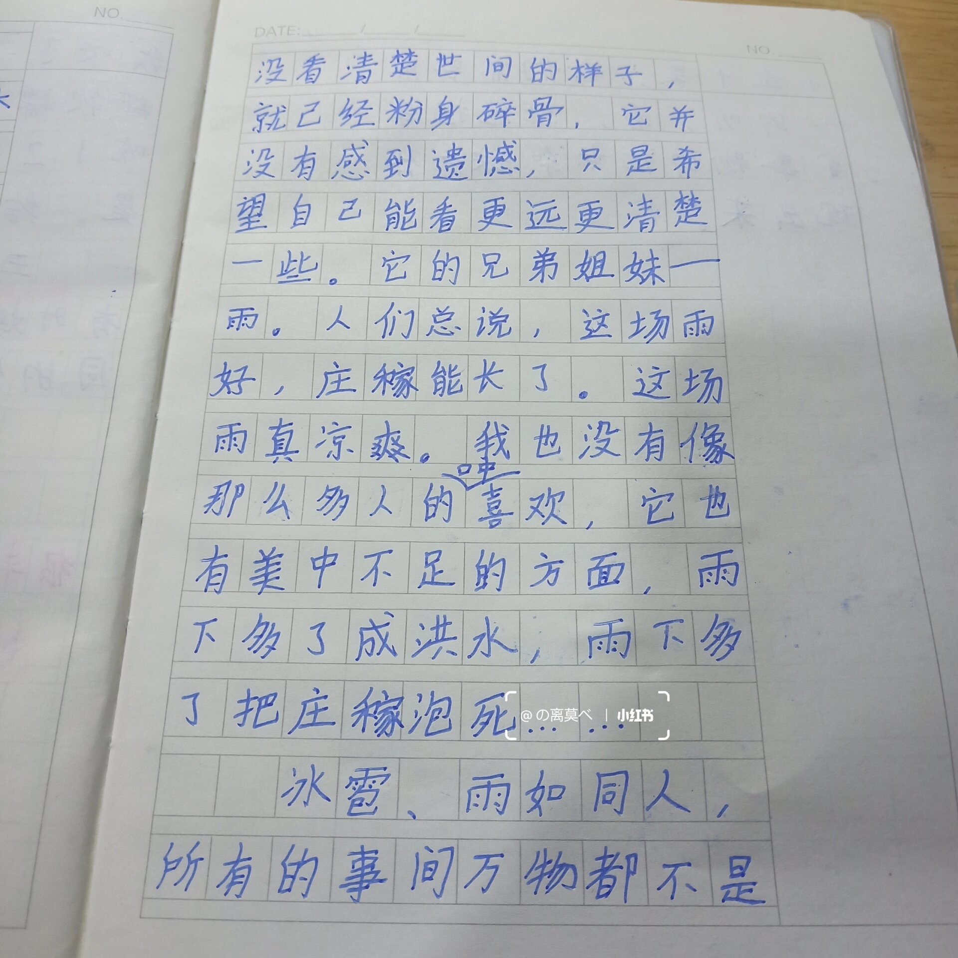 日记600字手写图片