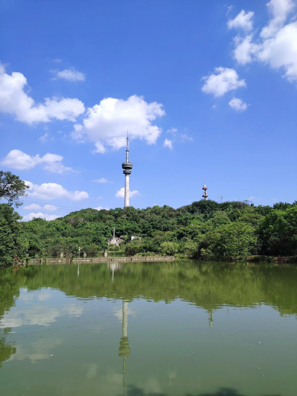 今天下午高温酷暑下盐都自贡的蓝天白云美美哒!