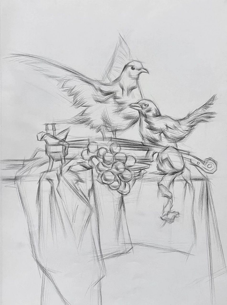 素描静物鸽子步骤画法分享