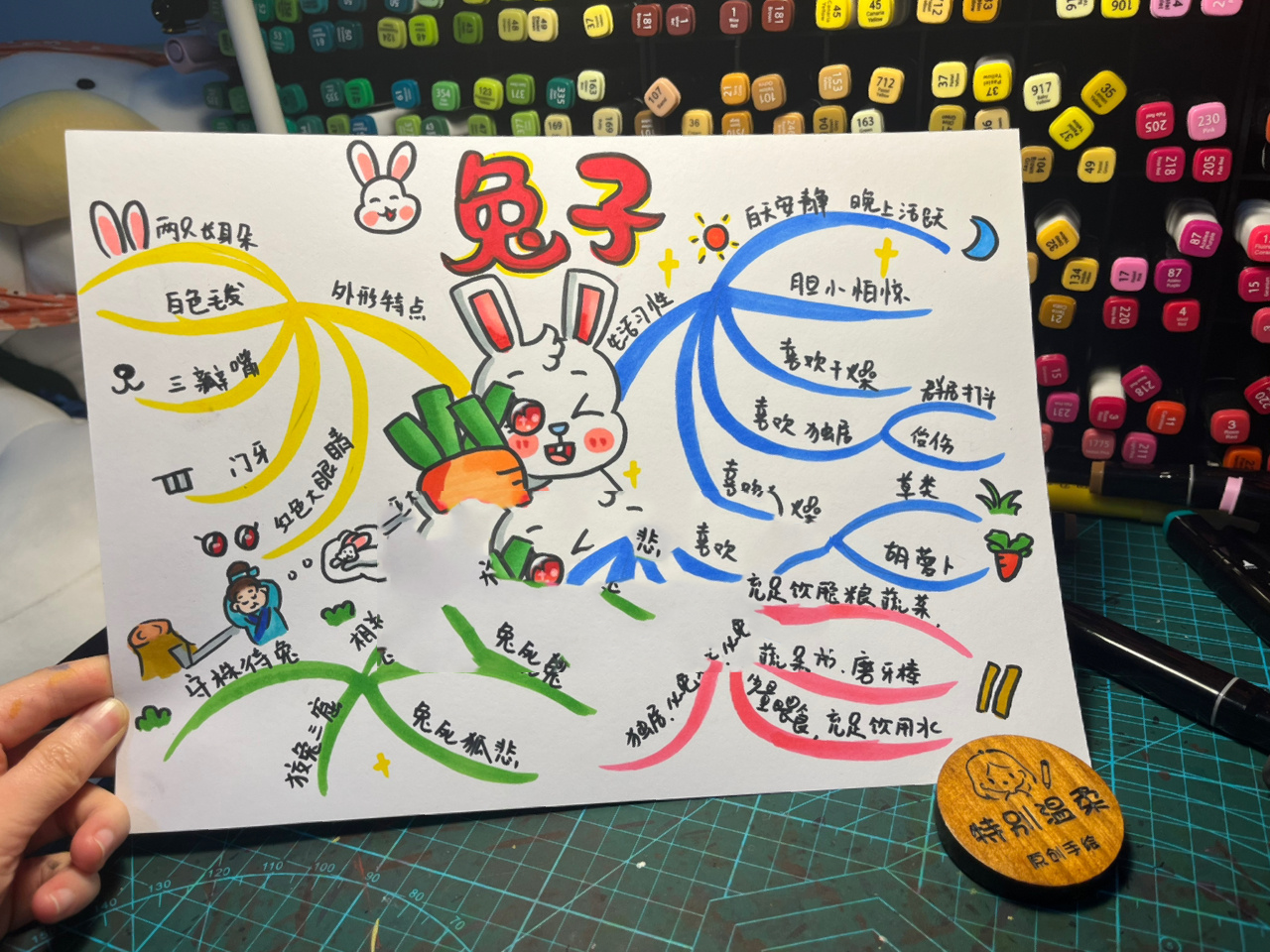 小兔子 思维导图