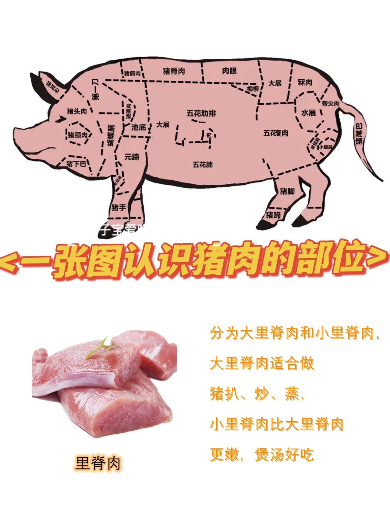 猪肉几号肉图解图片