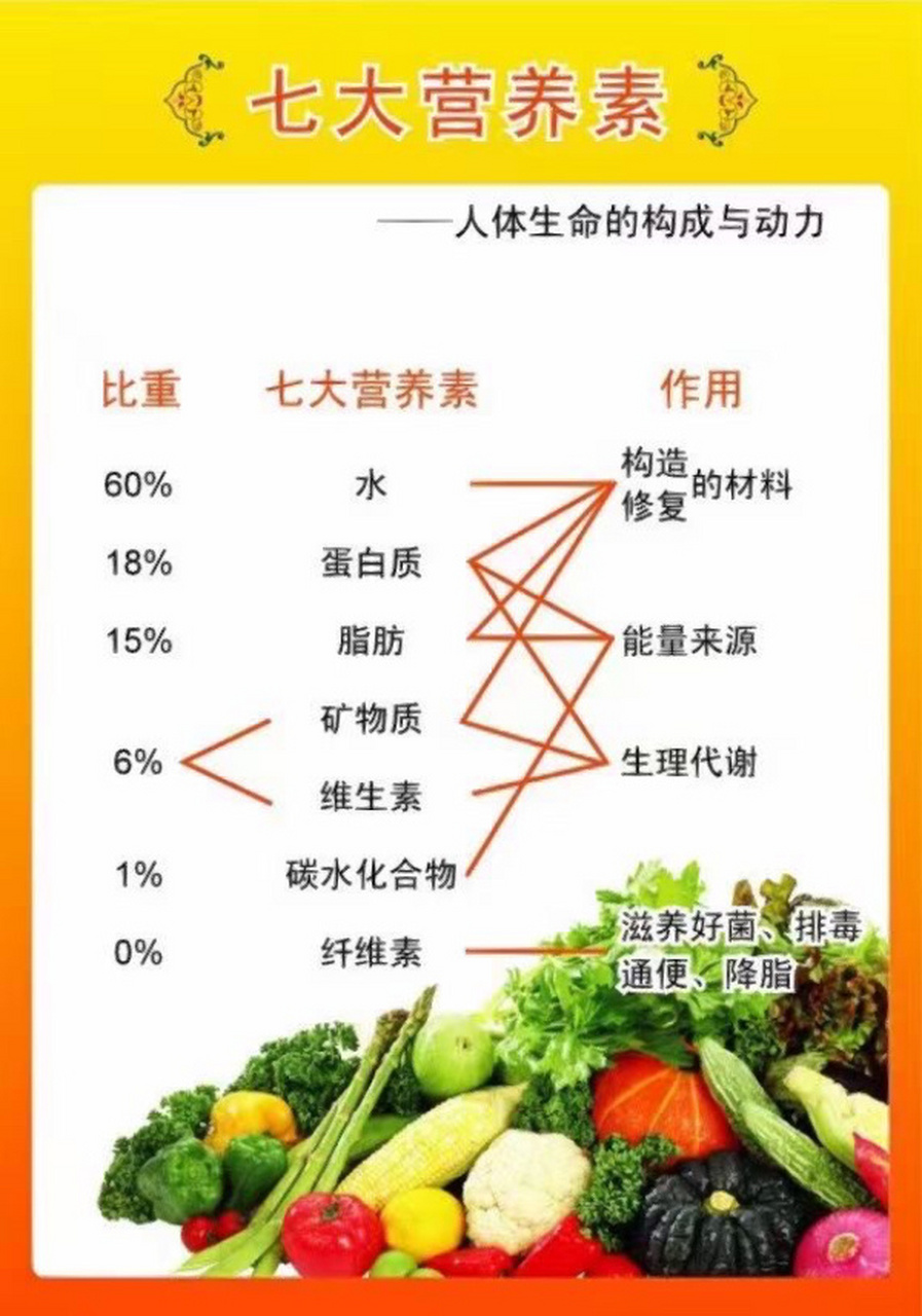 人体六大营养物质图片