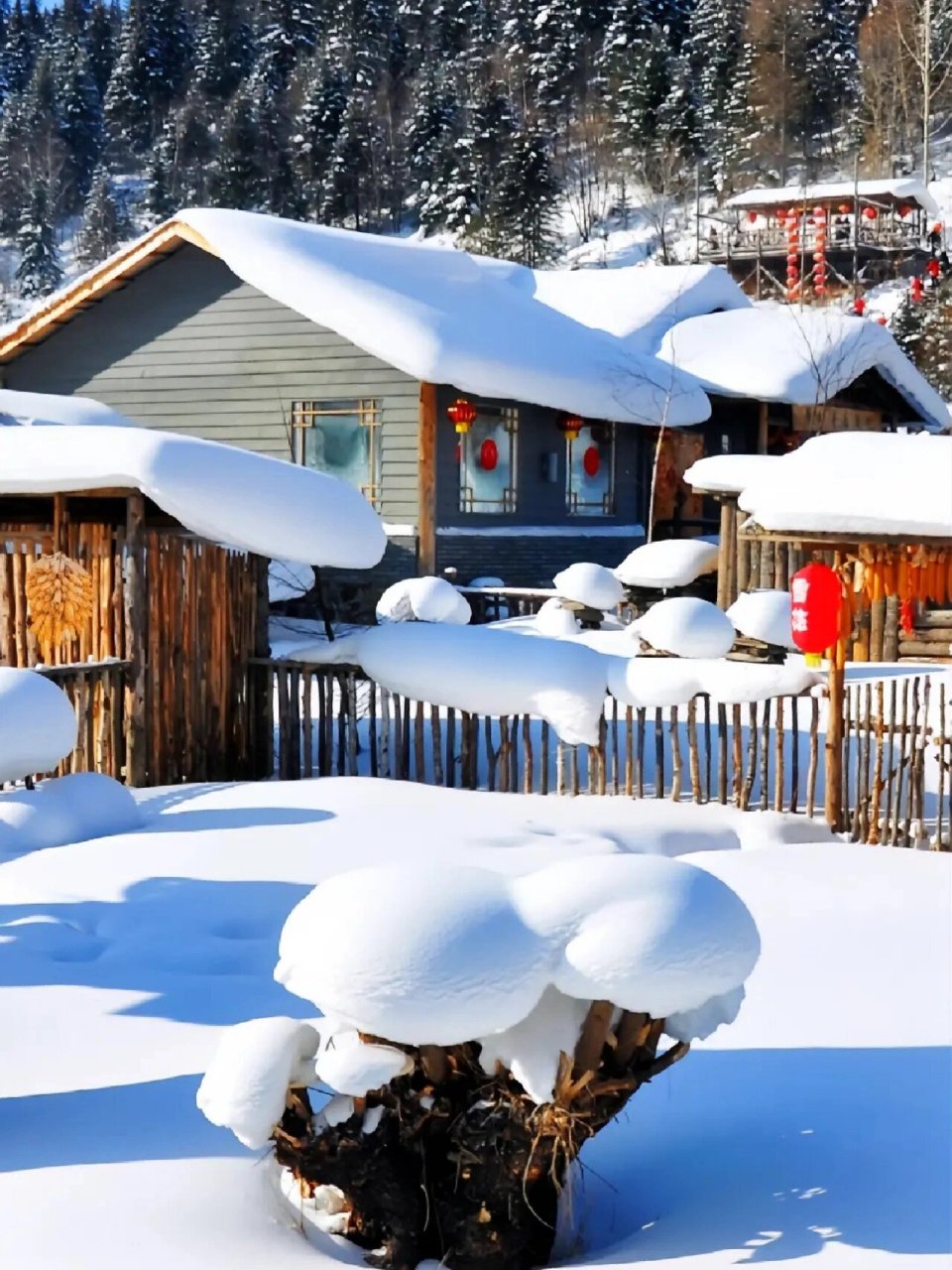 黑龙江牡丹雪乡国家森林公园美景来了!