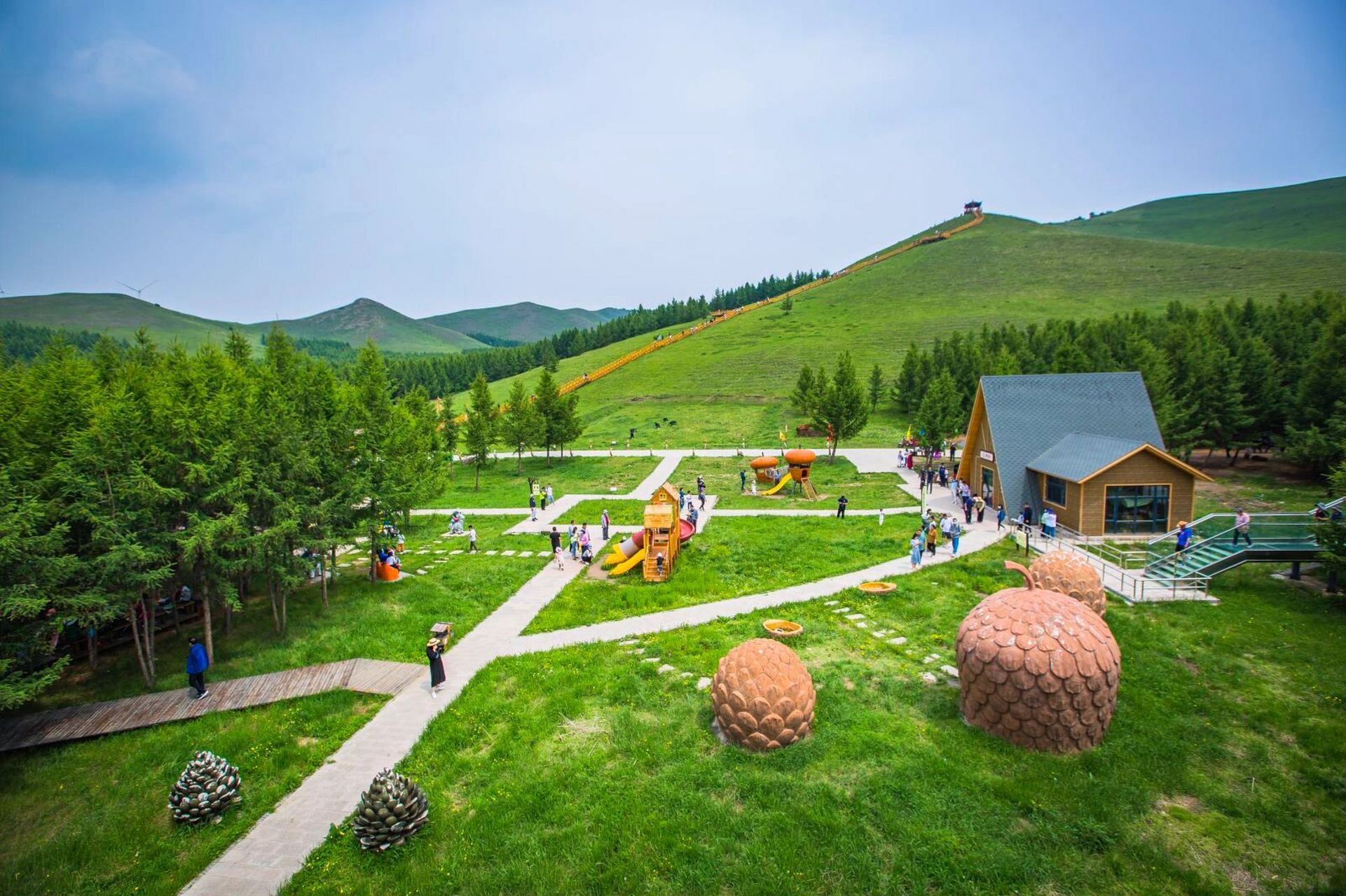 丰宁坝上七彩森林攻略 解决焦虑最好的办法就是出去玩90 这个夏天总