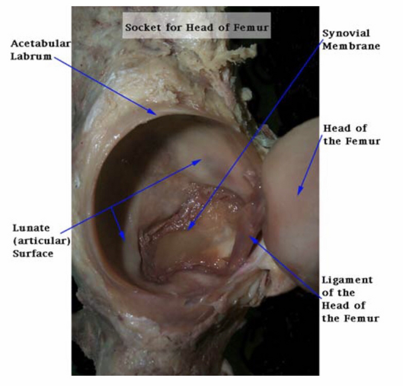 所以看谁都像有问题?