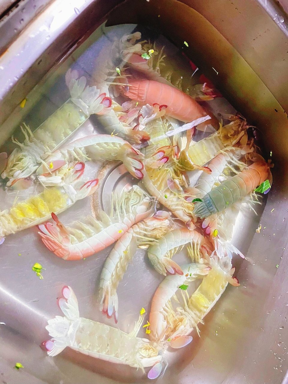 老板娘说这个赖尿虾是新品种,又名:贵妃虾,又叫七彩皮皮虾