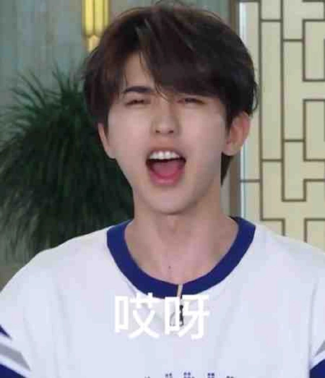 坤坤表情包来啦