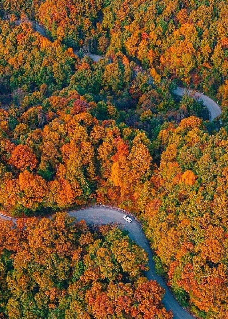 自驾黄柏塬07太洋公路绝美90人均400  07来一场自驾游吧,在这个
