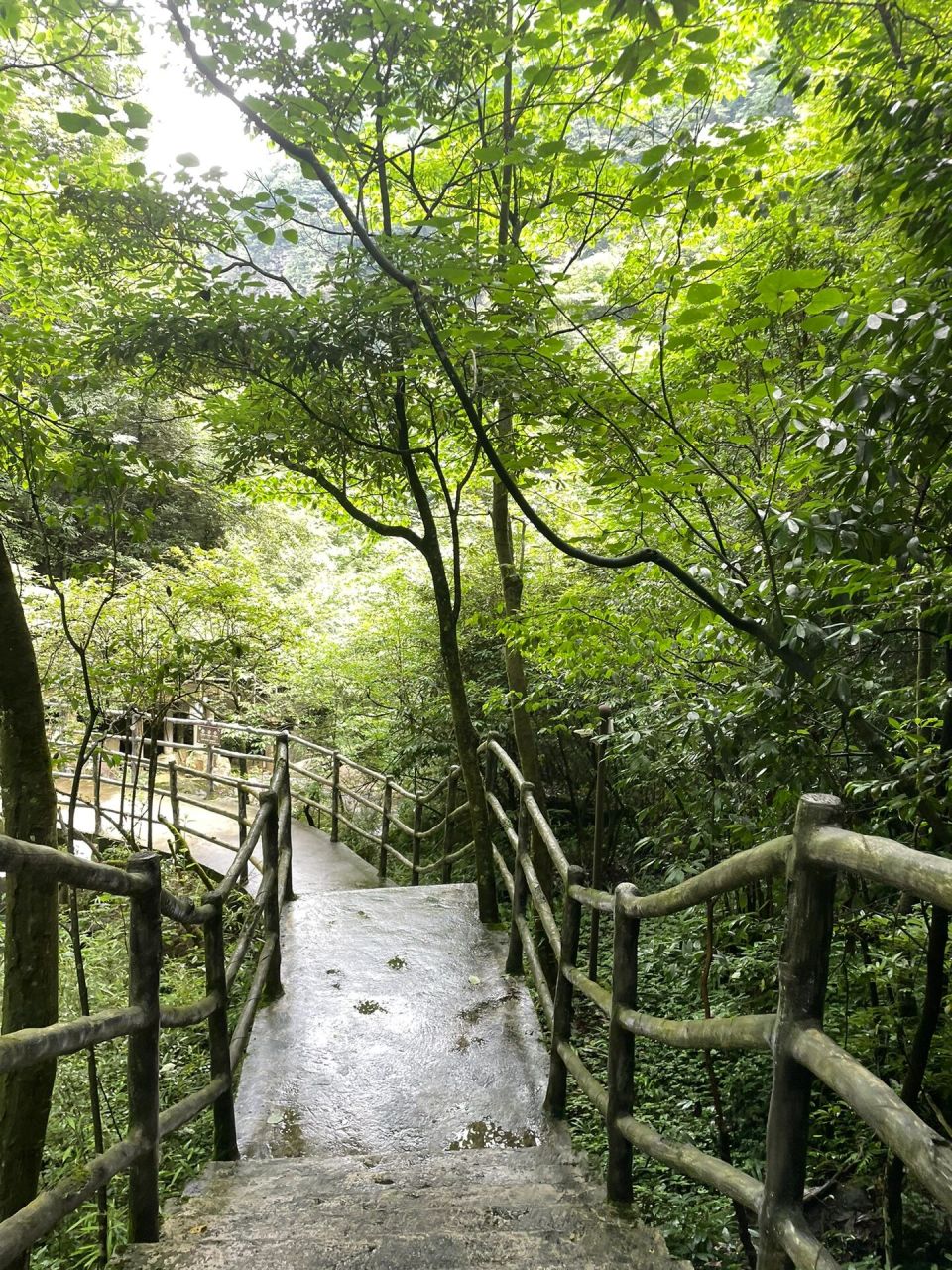 恩施佛宝山一日游   感受大自然的美好 森林呼吸 山太陡 到山脚下坐