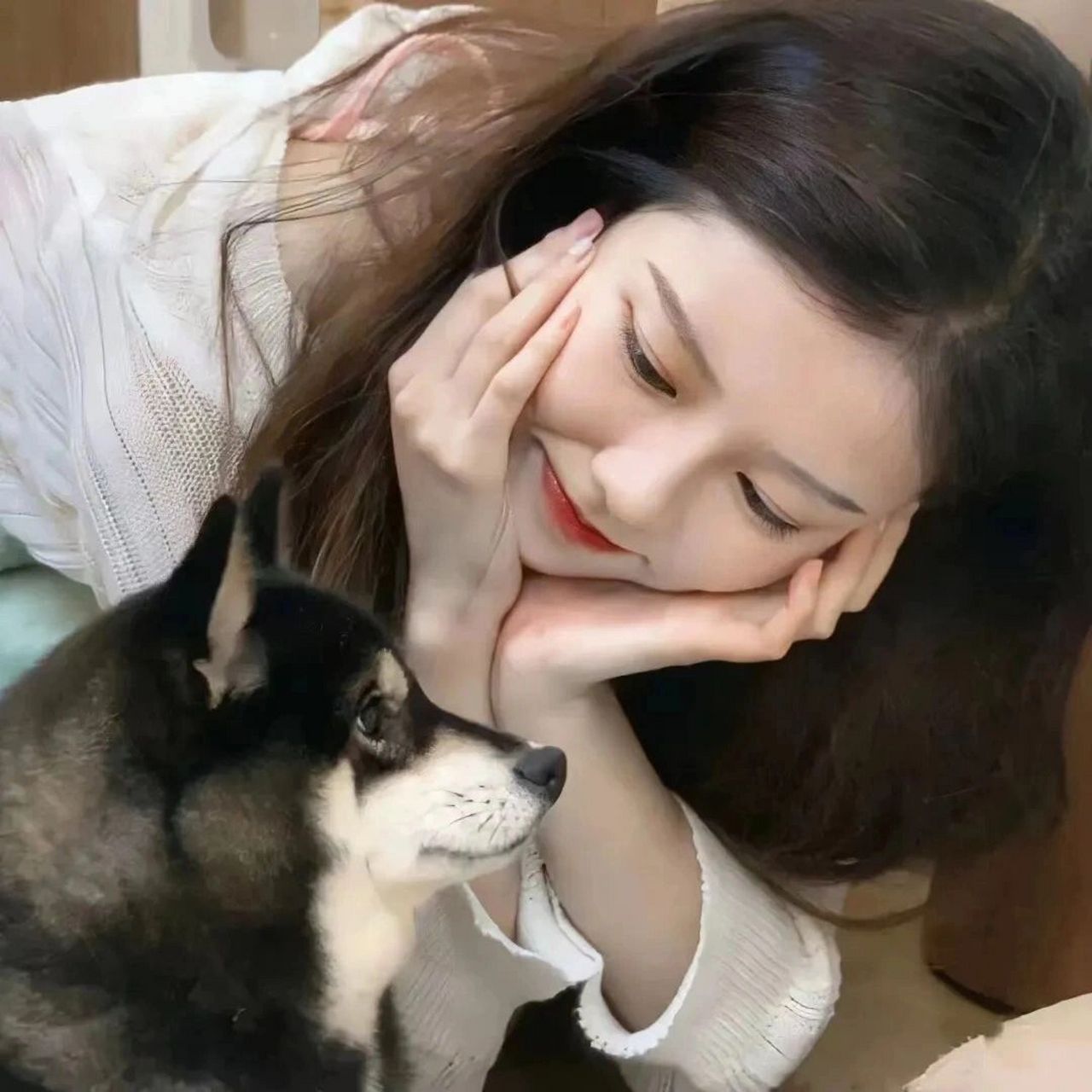 抱宠物头像素材 太米了吧!