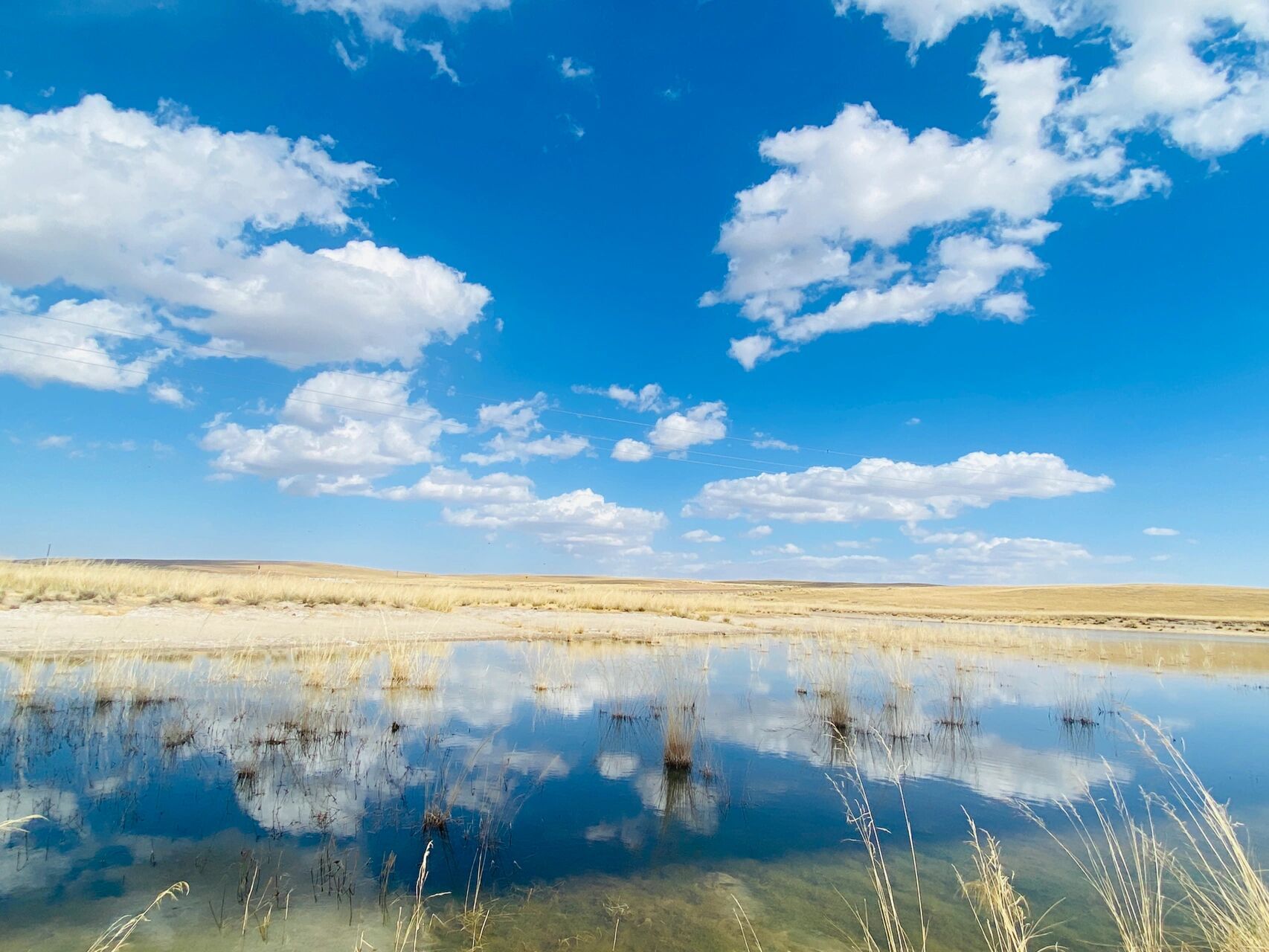 自驾内蒙:锡林郭勒-阿尔山-满洲里-呼伦贝尔 自驾穿越内蒙北线,从