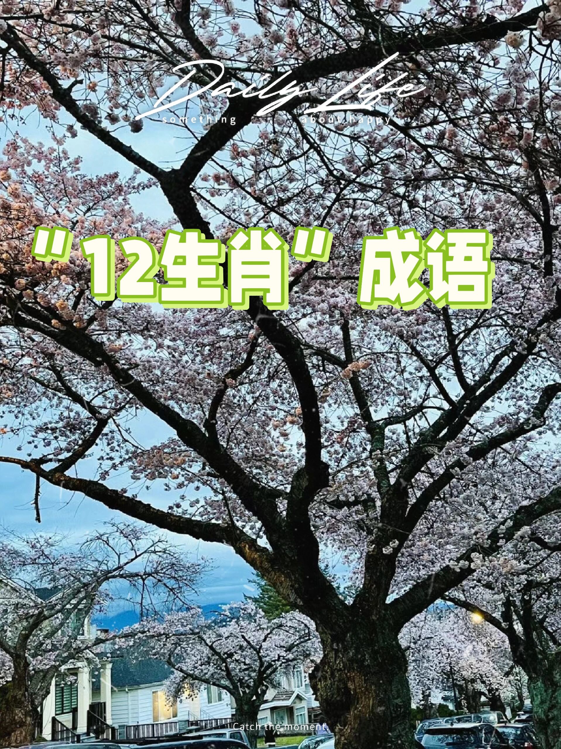 小学三年级语文 #小学语文 子鼠——鼠目寸光 胆小如鼠 抱头鼠窜 贼