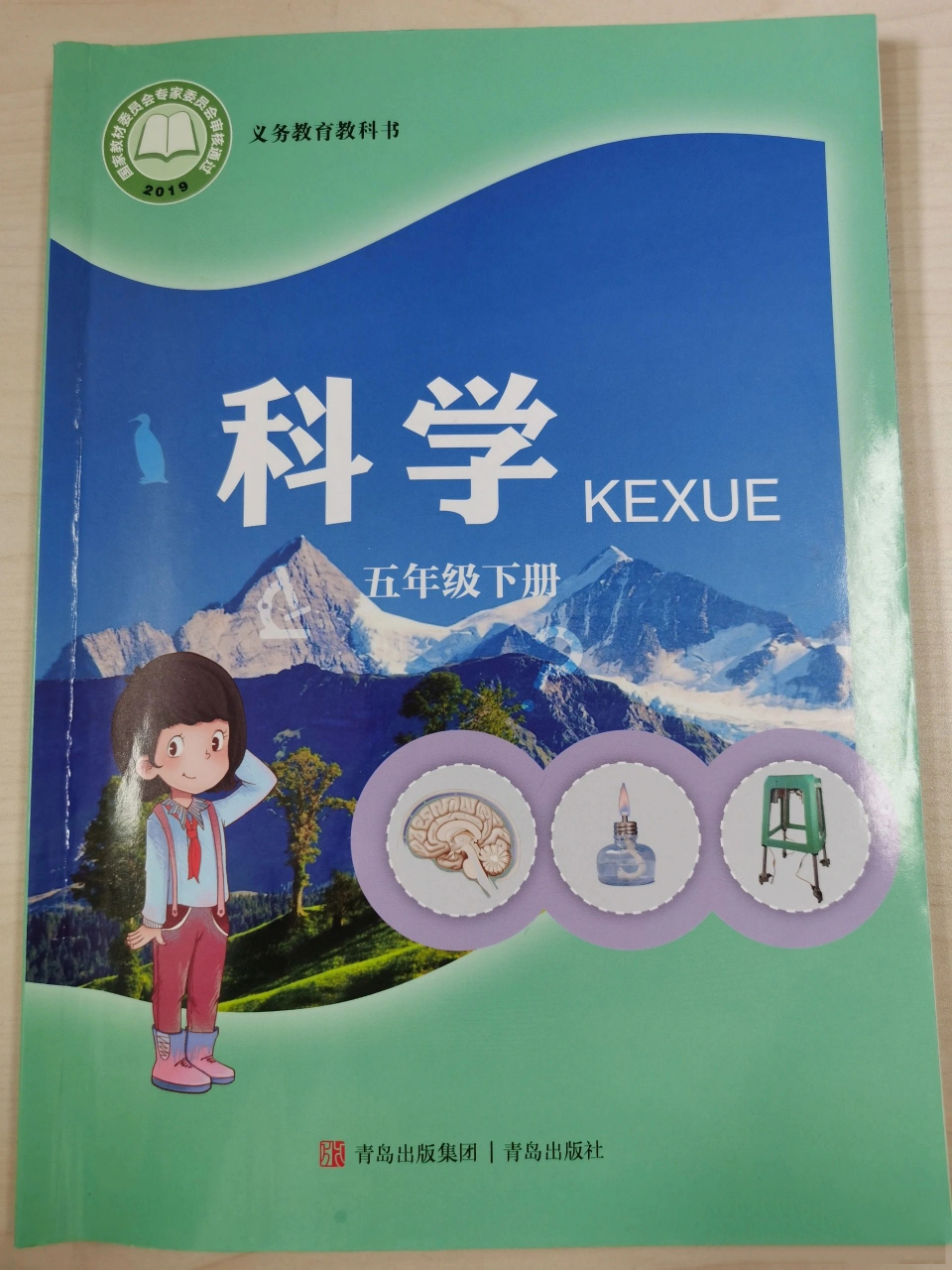 五下|科学98 青岛出版社 五年级下册 小学科学课本 知识点 注意事项