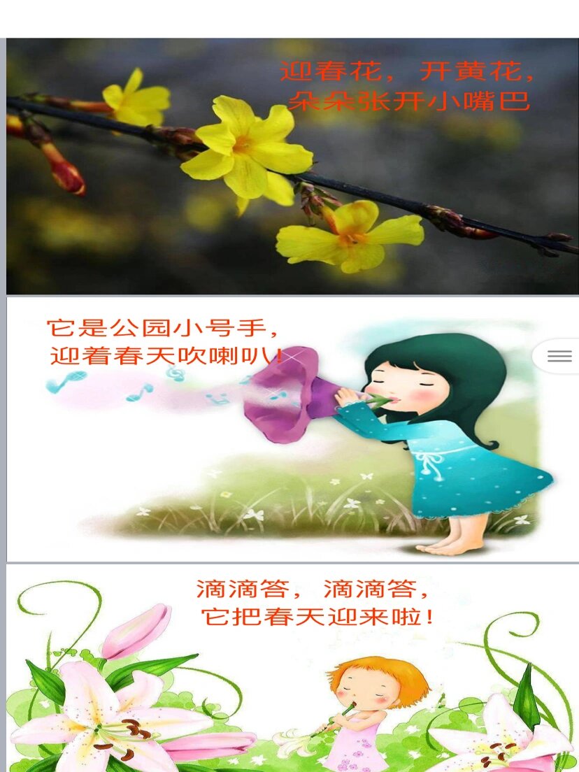 小班迎春花教案图片