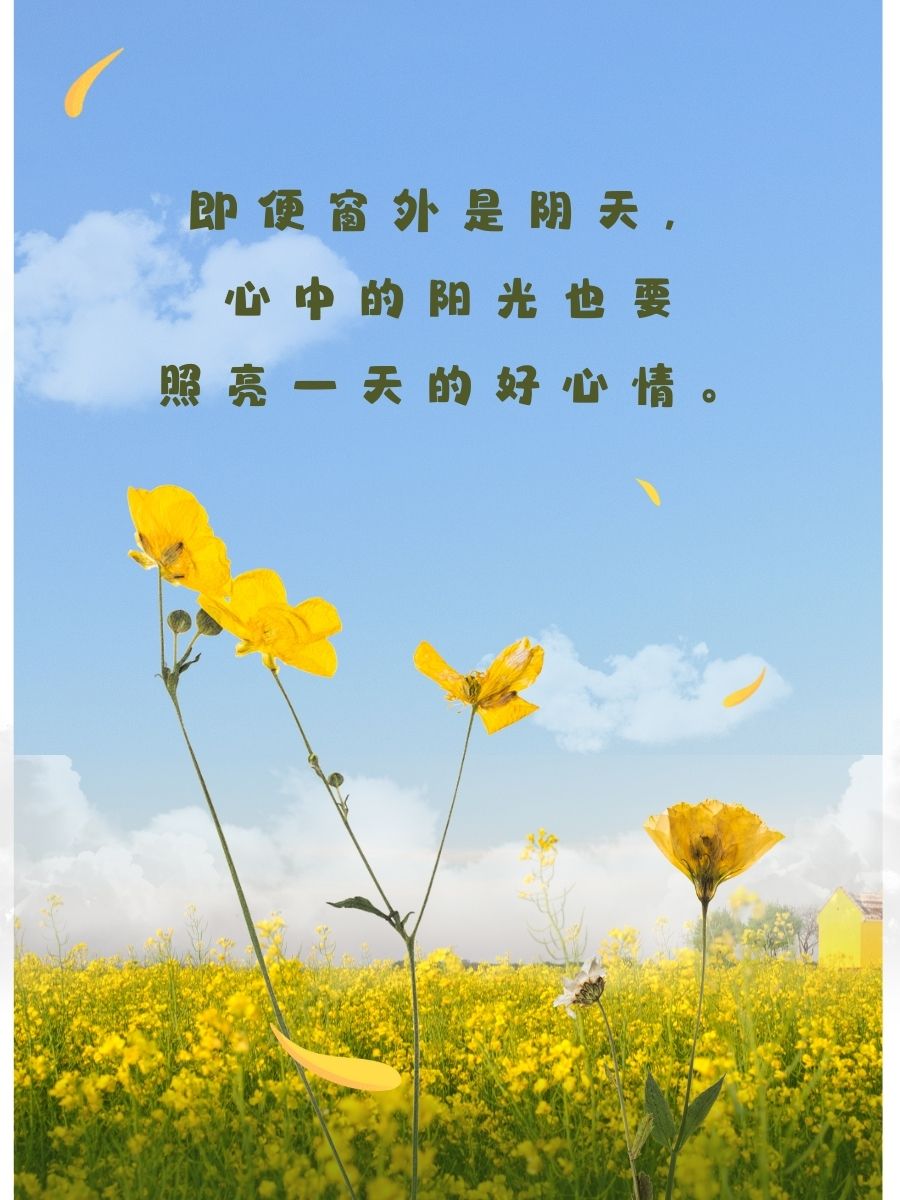 一缕阳光轻轻唤醒,美好的一天开始了.