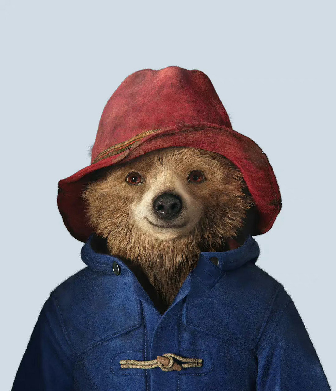 帕丁顿熊3将开拍# 经典ip《#帕丁顿熊# 3:帕丁顿熊在秘鲁》将于今年7