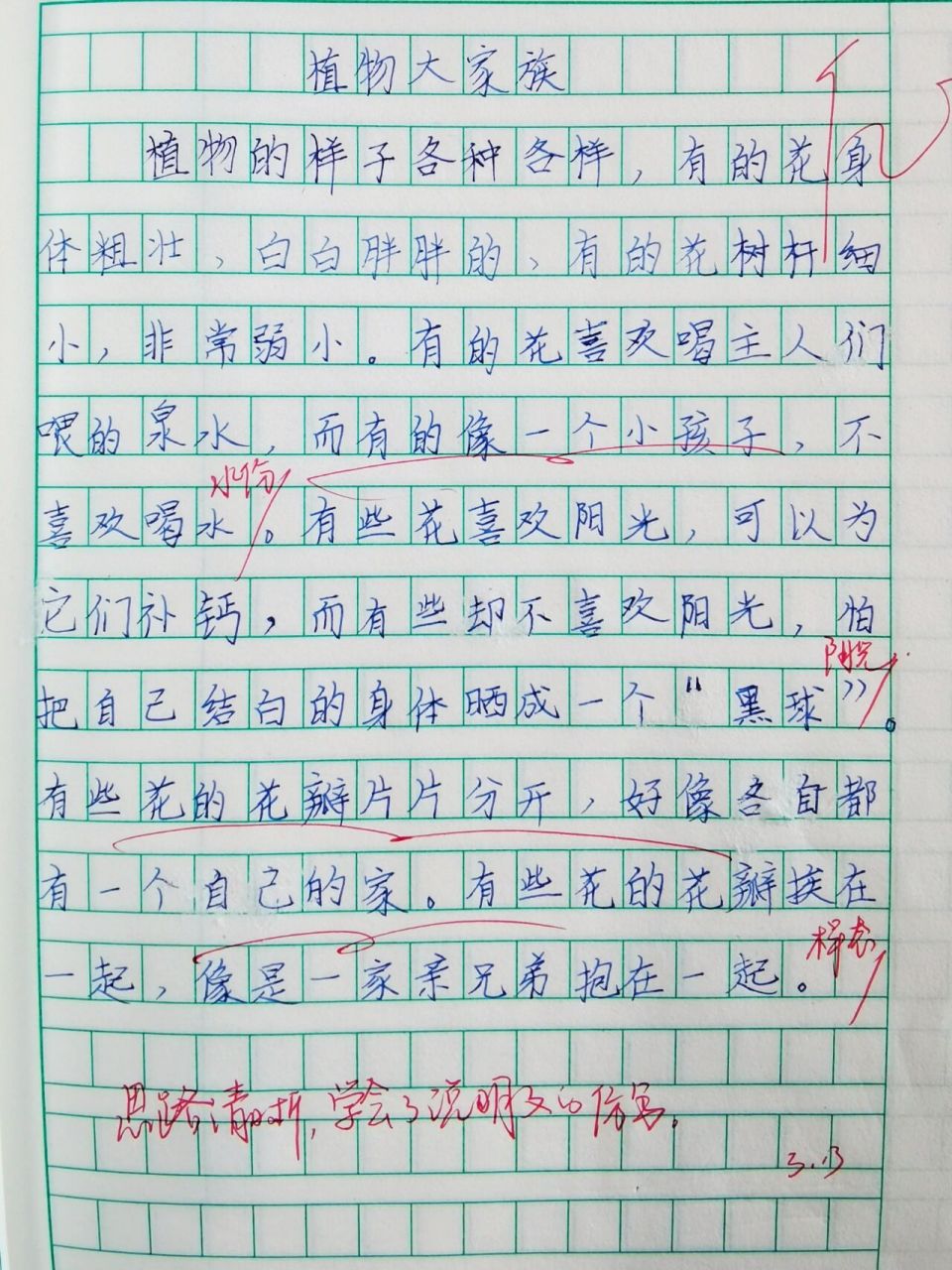 《飞向蓝天的恐龙》小练笔——说明文仿写 中心句开头 从不同的角度