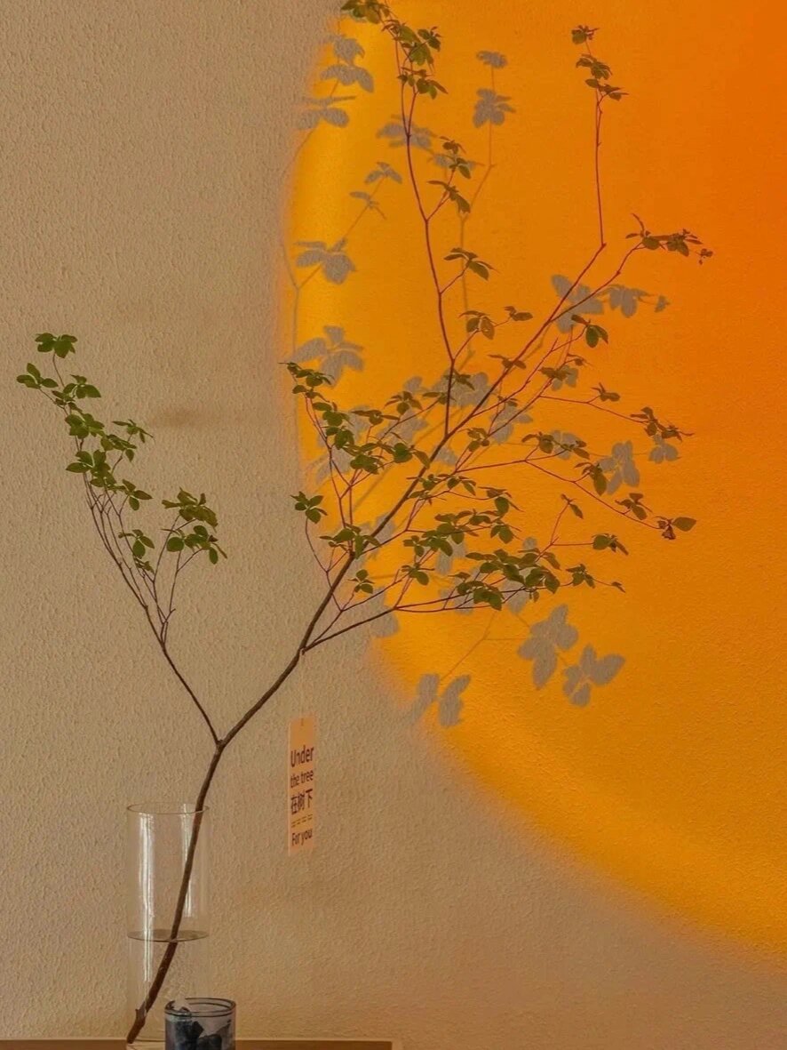 壁纸|橙色系温暖壁纸也太适合冬天了吧