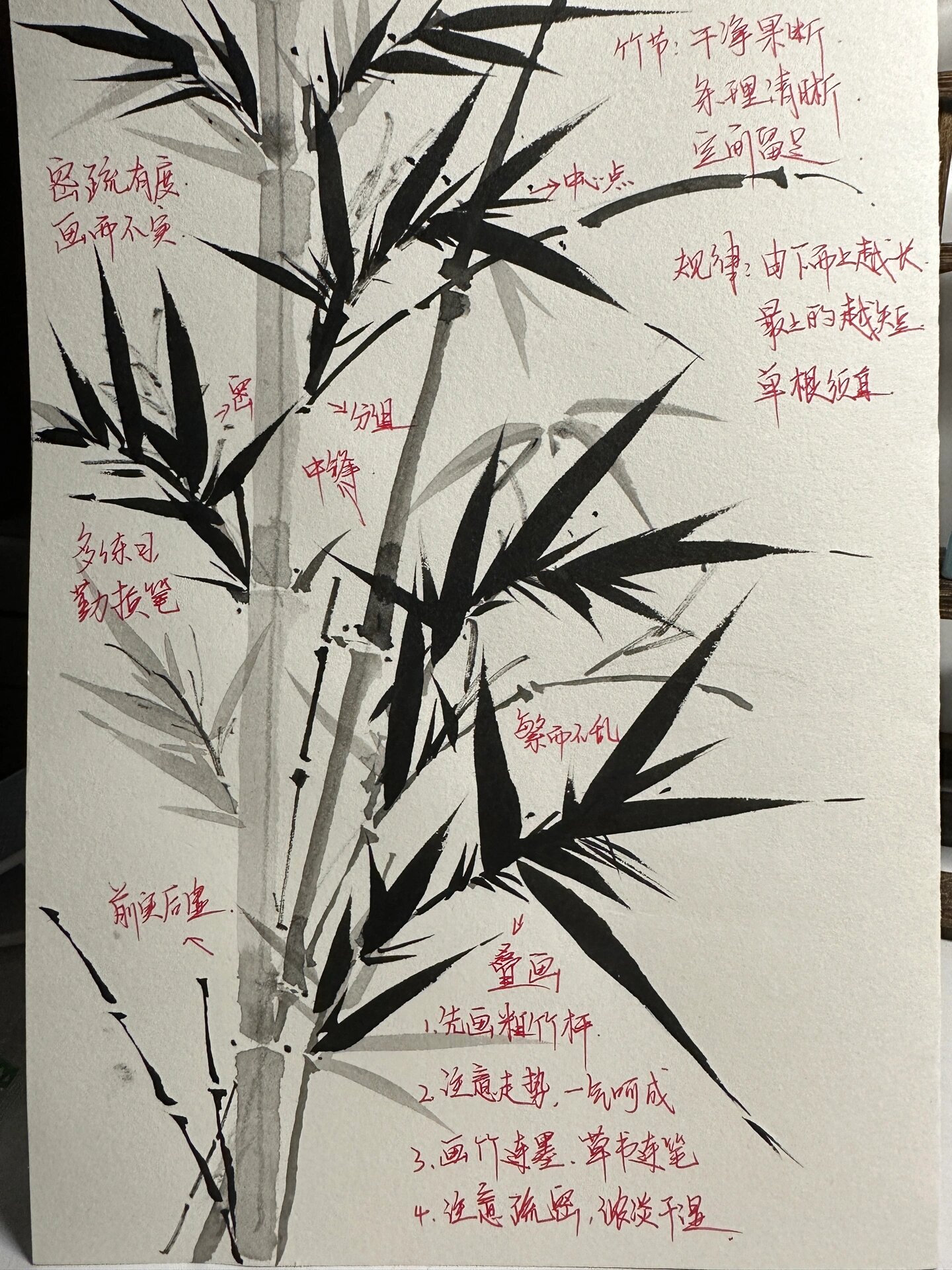 国画竹子教程(粉丝解答)简单易学,附带步骤