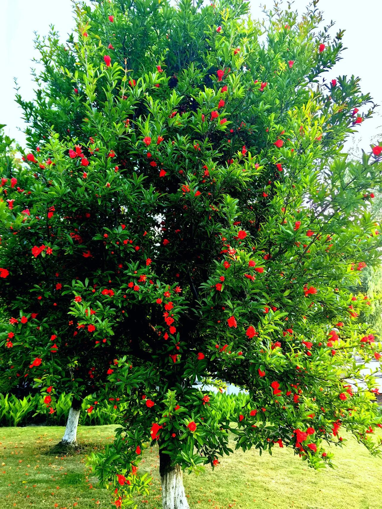 一,走在大街上,总会有陌生人来向你问路