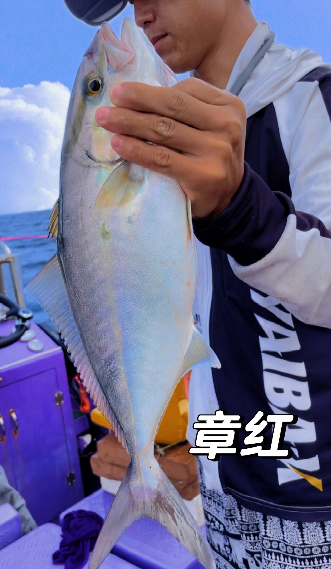 海钓🎣丨风车塔意外收获顶级刺身