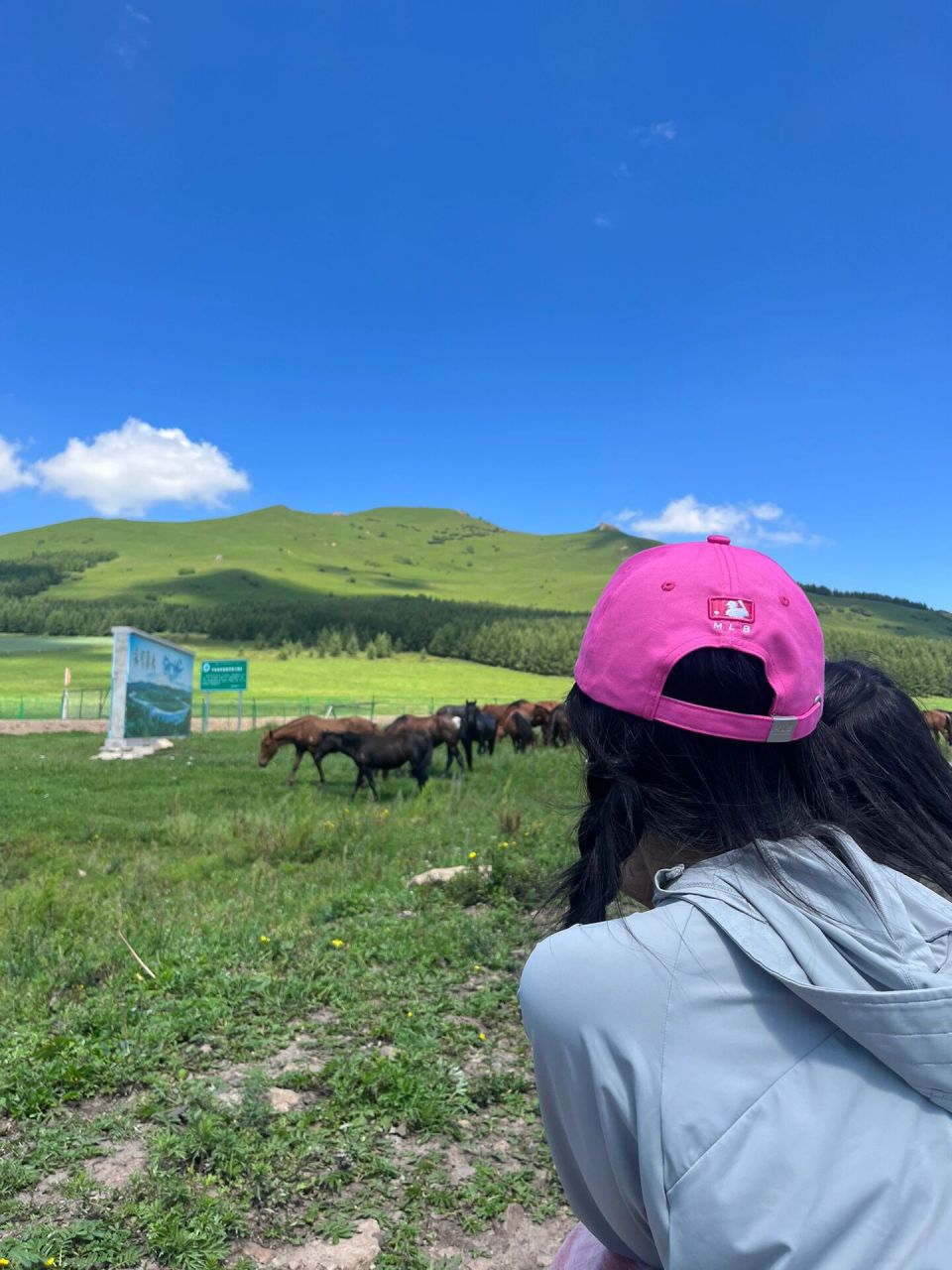 丰宁坝上草原大滩镇 这次的坝上之旅太满意了,我们没有去收费的景区