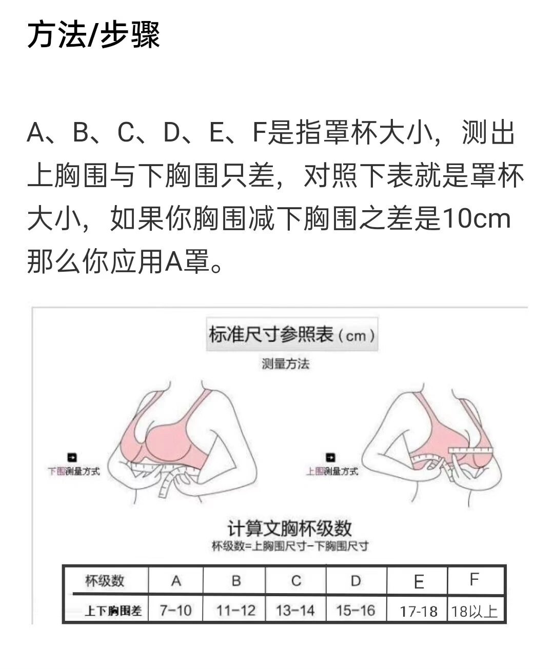 女生80c胸罩有多大图片