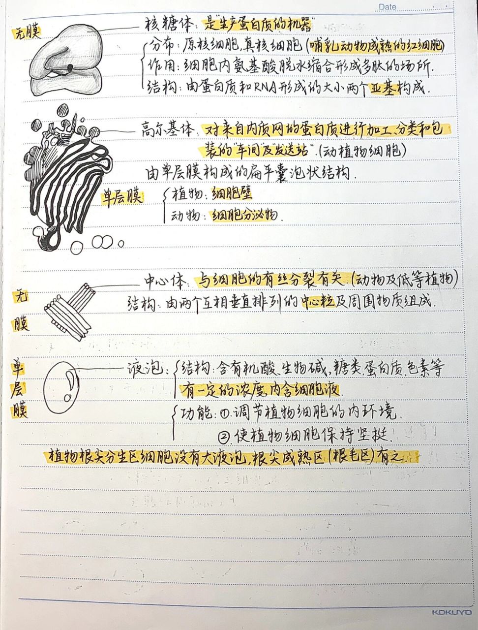 高一生物必修一笔记——细胞器篇 05