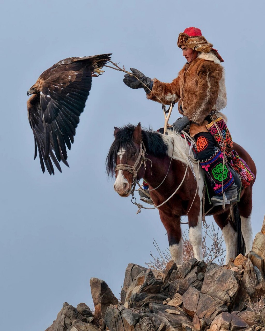 蒙古国9899西部猎鹰节摄影骑马猎鹰狩猎 猎鹰节的玩法:西部猎鹰