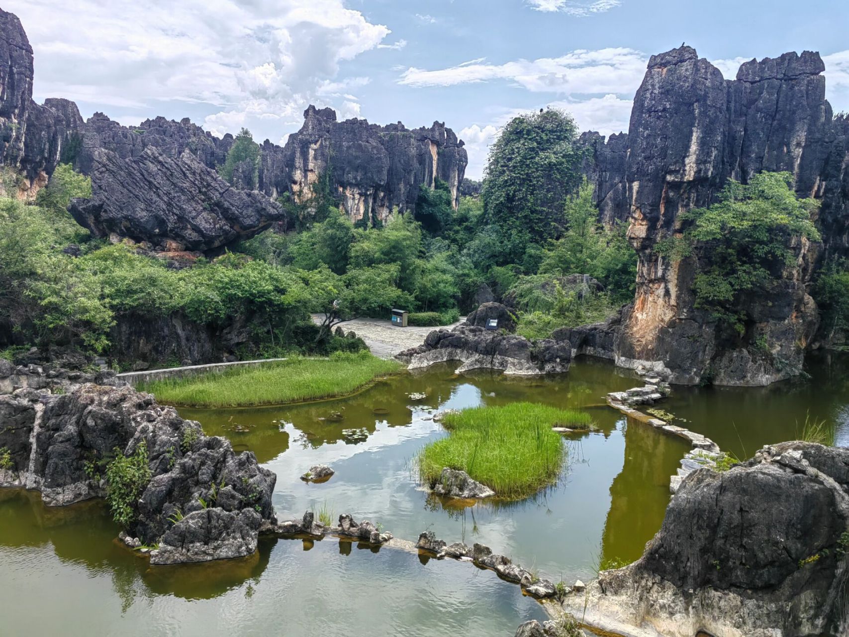 杏林大观园简介图片