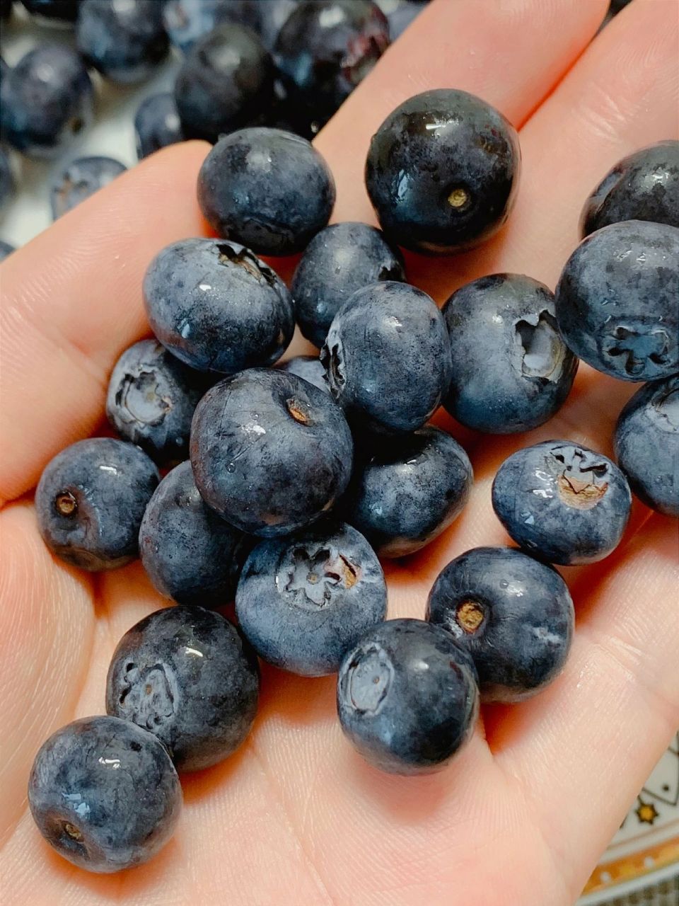 莱克西蓝莓,蓝莓界的"天花板"!